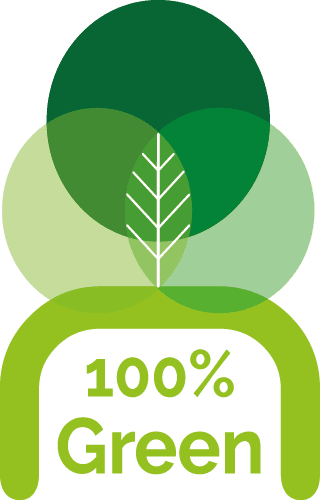 logo 100 green